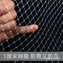 尼龙网大棚乌网果园用防鸟天网防鸟防鸟网网防纱罩防护网草莓果树