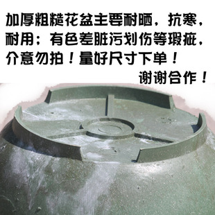 ��̖�A�μӺ��͕�˯ɏ�ɻ�ˮ���o���������׻�������Nֲʹ��10��
