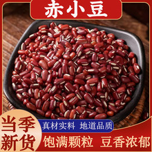 ���ڳ�С����ș������r����؛��С������s�Z��С��޲��������