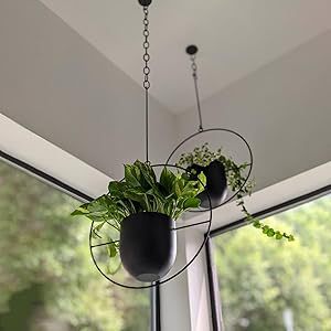 corner decor live plants holder farmhouse decoration durable untirust