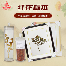 ���tș�����^�[����չʾ�̌W��ș�ɫ���� Ϟ�~ ��ș�˱� �t��