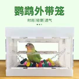 其他小宠用品;鸟笼;鸟类