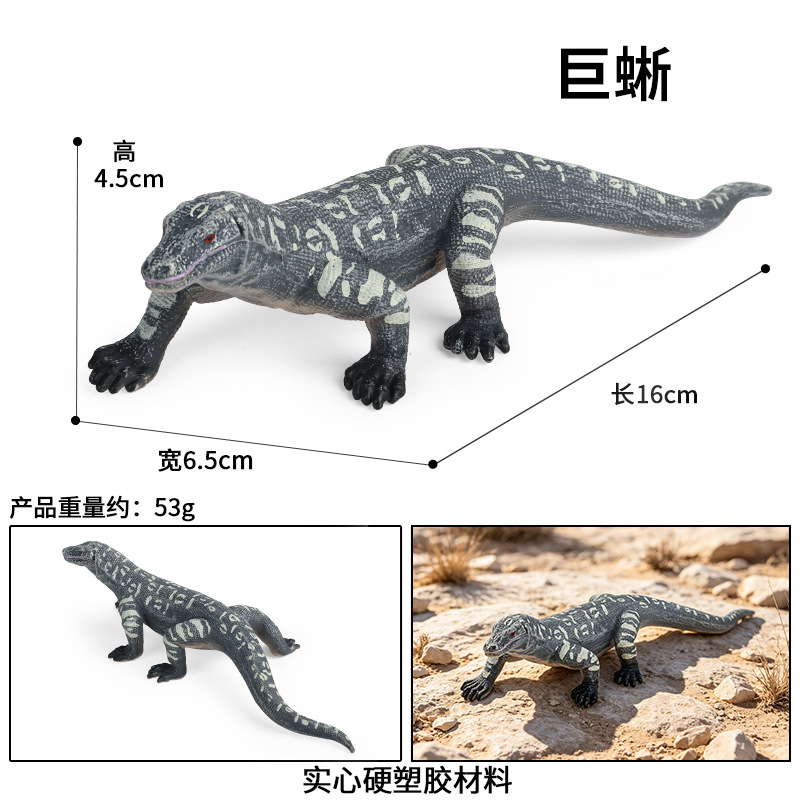 Lagarto gigante zjs-S681