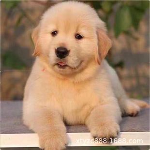 ���N��ë��Ȯ���wِ����ëȮ��äȮ����������Ȯ���B��ëȮ���ﹷ