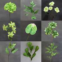 �Gɫ��ɭϵ��픾Gֲ�~�ӻ�c�������~��ˇ�b��߼ٻ��٘��~