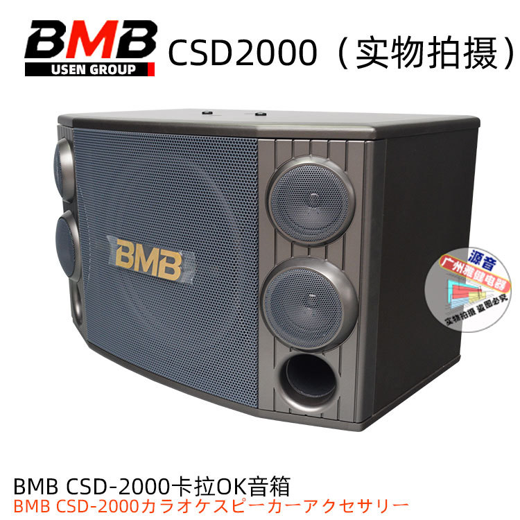日本BMB CSD-880 卡拉OK音箱 10寸专业箱 家庭K歌卡包箱
