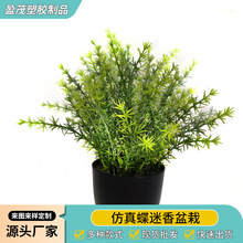 羳RdƷֲԷGֲС辰l