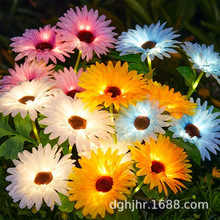 �羳̫��ܷ�ˮ�����r�ջ��� ���⻨�@ͥԺ�b��Շ��ز��ƺ��