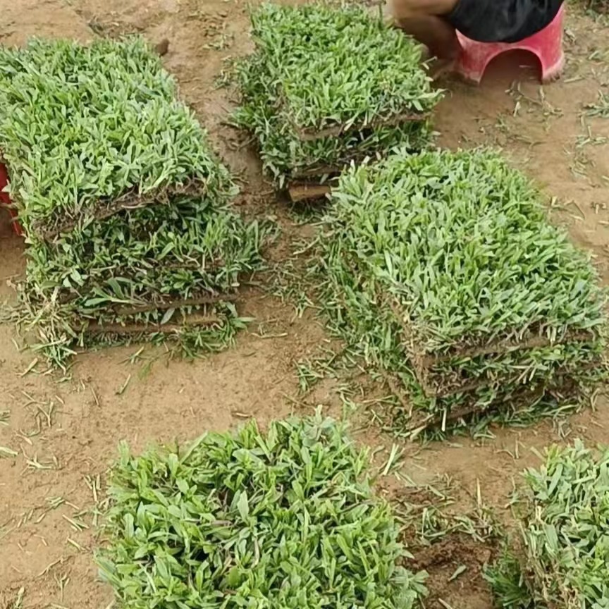 293b0e8fa9e256fd66300bf76093e8