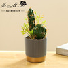 Realistic creative small pot, fashionable industrial decorations, cactus