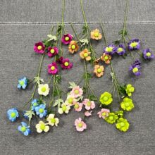 ����5�^���x�� �Ҿ��bٻ���Y�쾰��Y�ò��ý����[���羳����