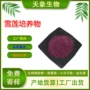 培养雪莲原料
