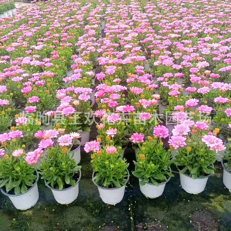 7cc3518f-efcb-4e4a-a5f2-e38b3f