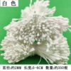 350 white stamens