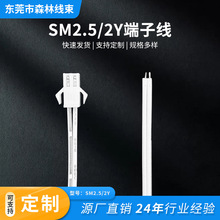 led���⺸ �������ĸ��� �o�����⌧��B�� SM2.5/2Y���Ӿ�