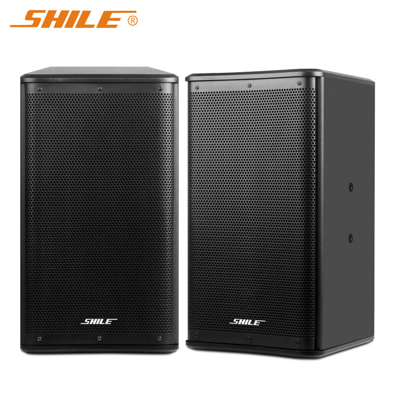 狮乐 10英寸会议室专业音响BX-110 专业对箱木质无源音箱一对