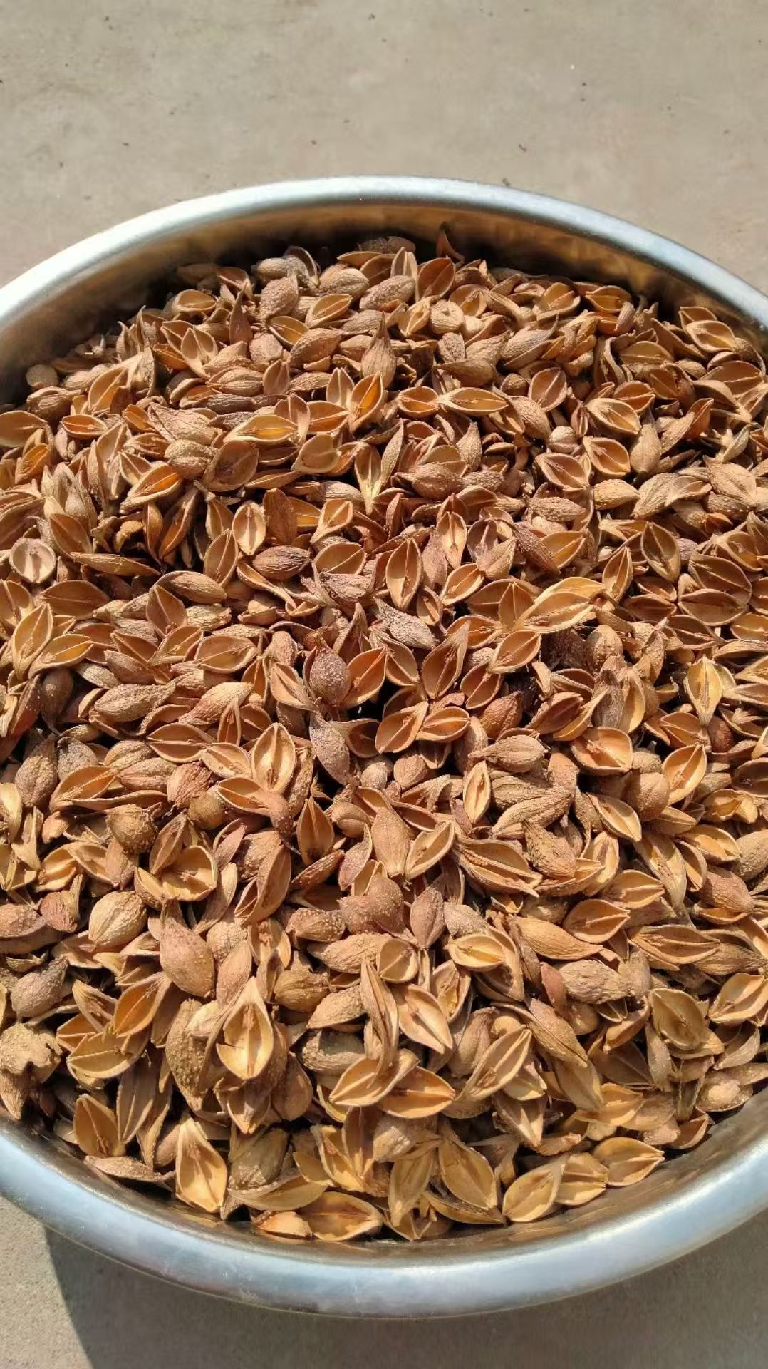 Dried Forsythia Fruit Lian Qiao Qing Qiao Whole Clean 500g specifications