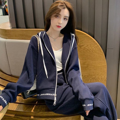 休闲运动套装女2025秋冬季新款大码时尚连帽洋气减龄长裤两件套女