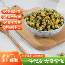 新货桐乡散装胎菊基地直供散装杭白菊胎菊花散装花草茶源头厂家