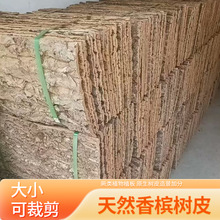 天然香槟树皮鱼缸造景雨林缸背景装饰树皮爬宠箱背景板软木树皮
