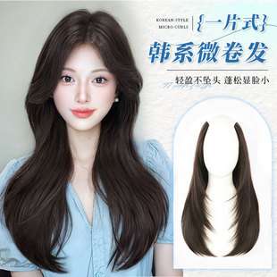 Wig Women's Layered One-Piece Long Hair Extending Hair Sheet Imitation Full-True Fluffy Hair Increase Quantity No Mark Long Straight Hair Patch