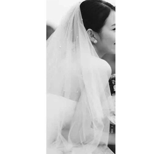  Bridal Veil New Fairy Metal Hair Comb Beads Double-layer Pearl Travel Pat Veil Wedding Accessories