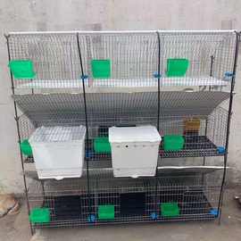 养殖兔笼 免清粪3层9位子母商品加粗加密养殖笼具 镀锌子母兔笼