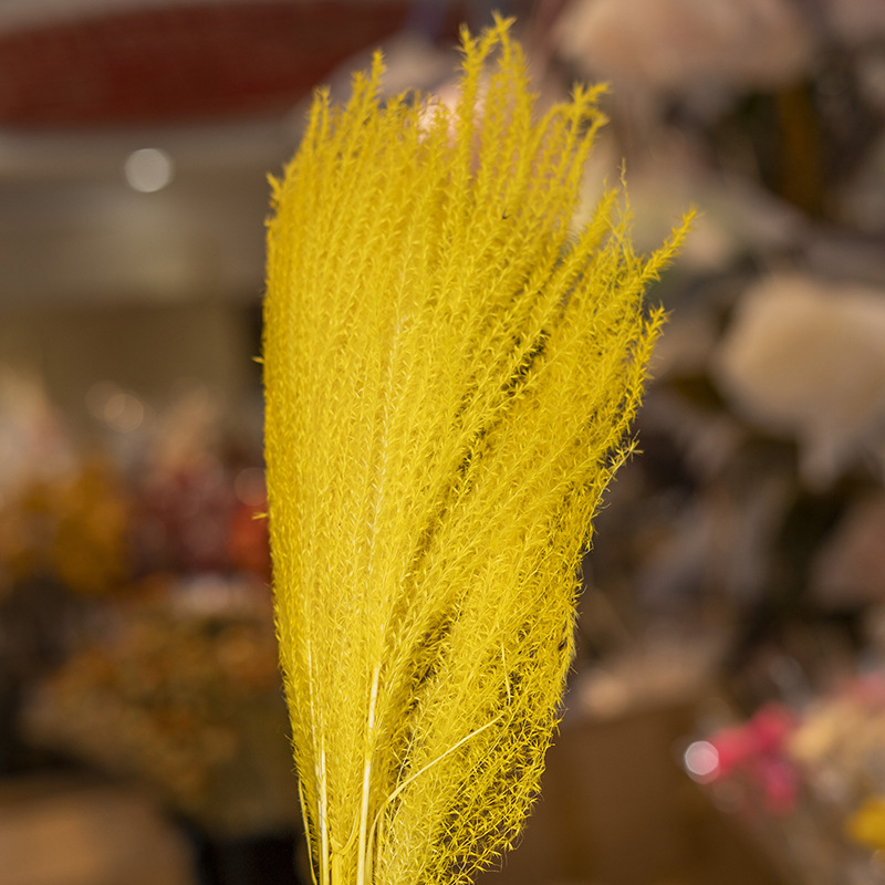 노란색 (10 pts/번들)