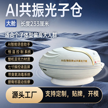 远红外线AI智能生物共振能量舱石墨烯汗蒸舱康养发汗舱光子太空舱