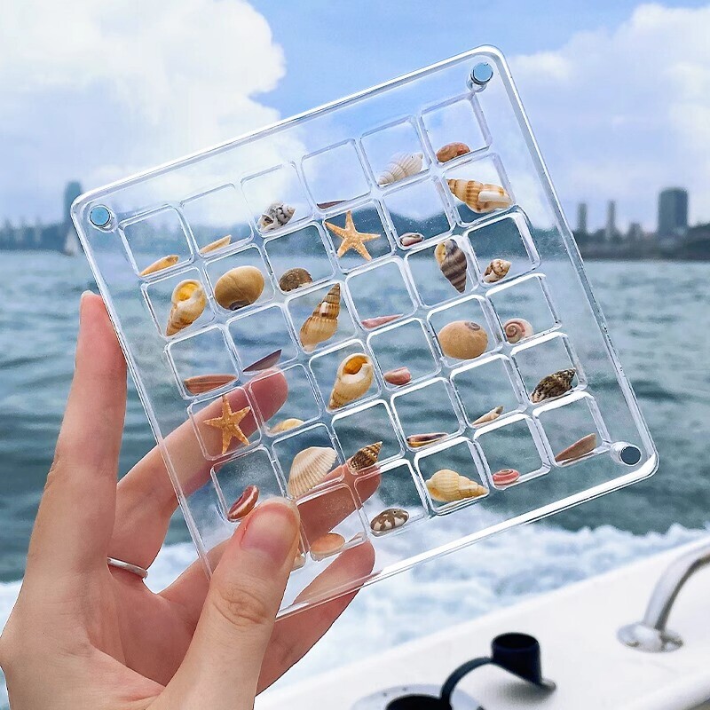Transparent Acrylic Shell Storage Box 2026 Seaside Stone Display Specimen Frame Collection Box with Magnetic Lid