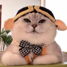 �����^��؈�乷������ñ��׃�b�����^�Ц�ֹ�ë��ñ�Ʒ�ɐ�