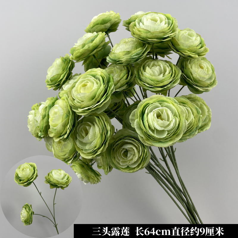 녹색 삼두 연꽃