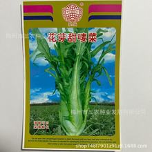 五洲牌花芽甜麦菜种籽园林大棚种植四季蔬菜种子电商 厂家批发
