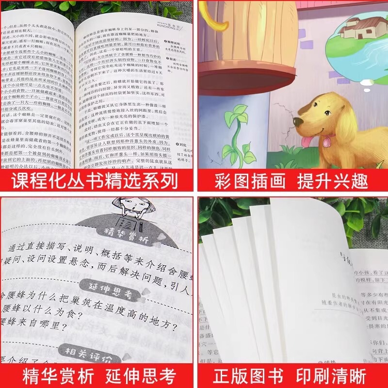 二年级上册阅读物课外书籍小狗的小房子歪脑袋木头桩一只想飞的猫|undefined