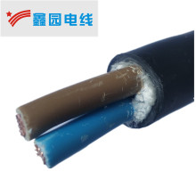 ���� WDZB1-RYY2*6�͟��o�u��ȼ��|�� �S��ֱ�N