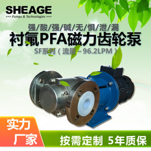 PFA氟内衬磁力齿轮泵SHEAGE SF602盐酸硫酸硝酸氟溴水甲醇打酸泵