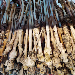 5ZV7 wholesale Yunnan black fruit tree tumor handle piece longevity massage stick fitness self-defense playing stick camellia wood back