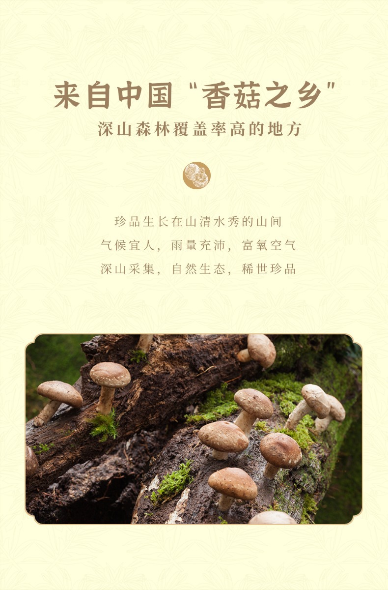 Dried Shiitake Mushrooms Xiang Gu 香菇 Whole Caps Factory Direct Quality Rich Aroma 500g overview