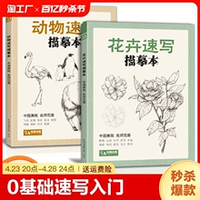 花卉动物速写描摹本零基础画画入门新手自学教程书籍线描临摹手绘