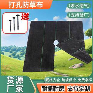 Processing and Customization of Perforated and Cut Weed Control Cloth Pieces, Agricultural Anti-Weed and Weed Control Cloth Pieces, Perforated and Cuttable Ground Cloth Wholesale