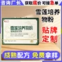 礼盒装培养定制滋补雪莲