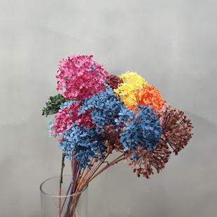 3�^ľ�������Ͻ�ɫ��������Ͳ�廨���Ļ�Y����·���Ż��S�����l