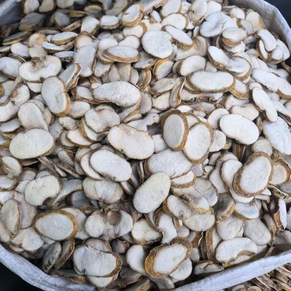 Zhejiang Fritillaria Bulb Powder Zhe Bei Mu 500g Traditional Herbal Ingredient key features