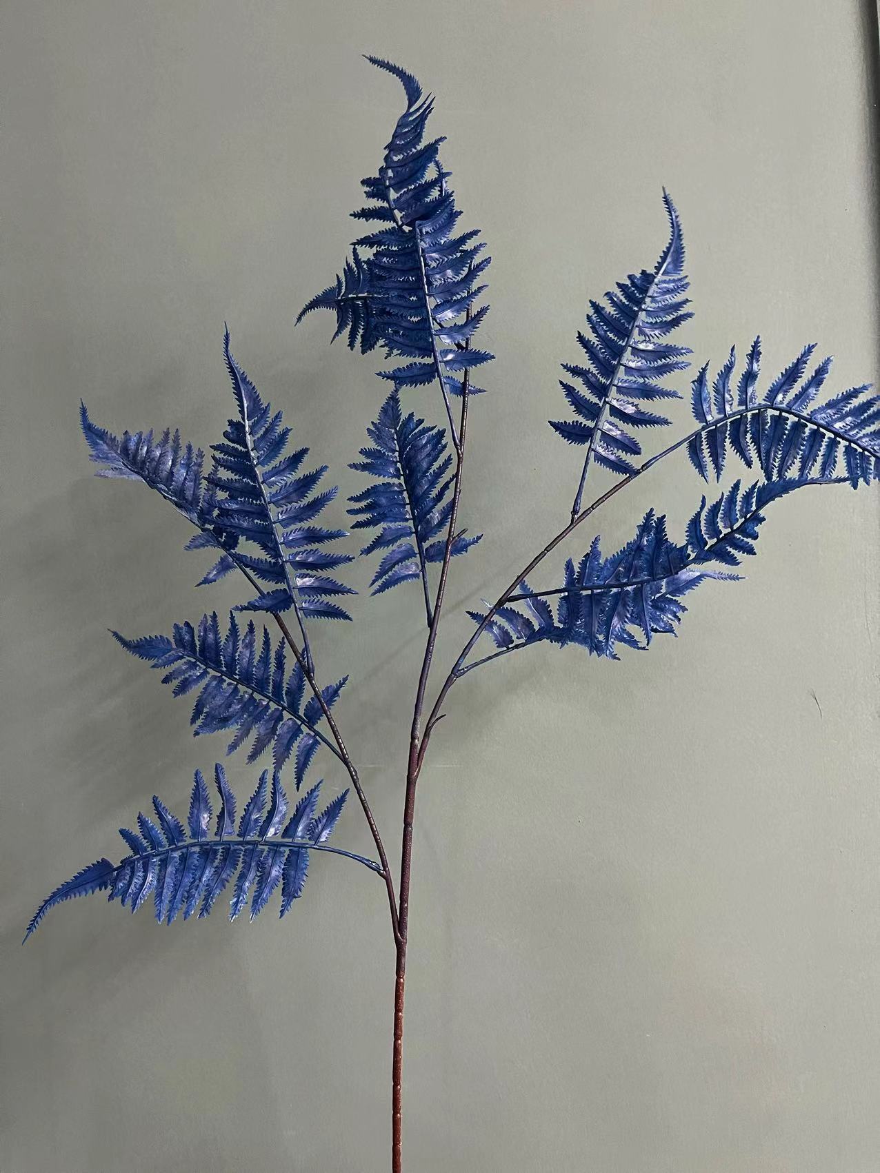 微信图片_20241010150852