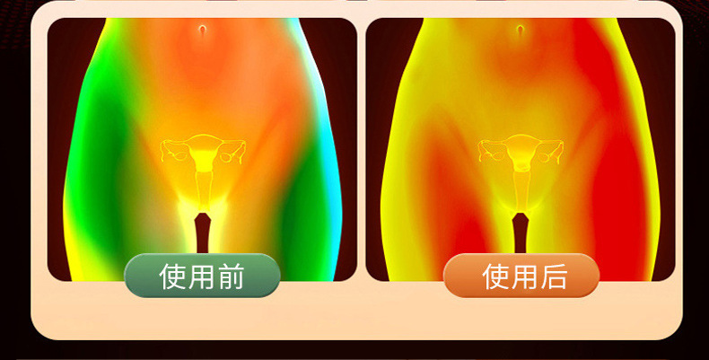 Warm Palace Heat Patch with Mugwort Self Heating Abdominal Patch for Menstrual Comfort 5 Patches per Box specifications