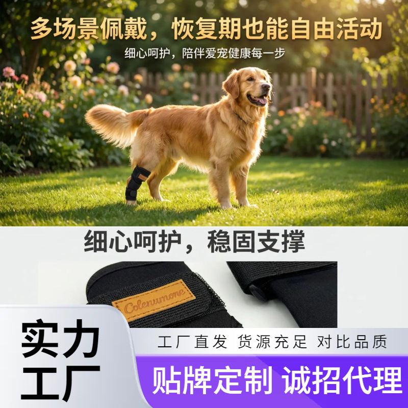 Breathable Dog Knee Brace for Post-Surgery Recovery, Anti-Scratch Joint Protector, Universal Leg Protection Sleeve for Large, Medium, and Small Dogs