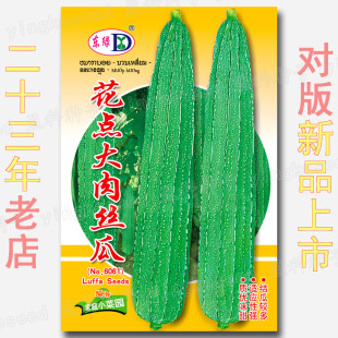 �s10�����c����z���� ��������|���r����z�ϷN�� �߲˷N�����l