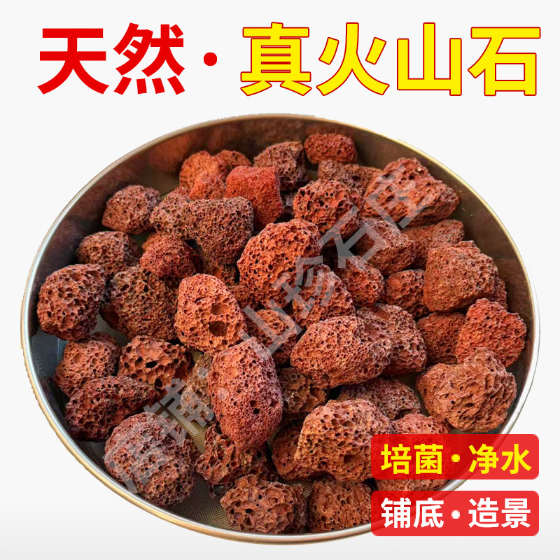 20파운드 3- 5cm 왼쪽 빨간색 [메인 사진과 같은 스타일, 다공성]