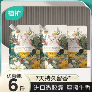 Planting Perfume Laundry Liquid Whole Box Household Dormitory Fragrance Lasting Fragrance and Stain-removing Low-foaming Supplementary Bag for Low-cost Pack