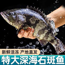 ���lʯ���~�r�����Ұ��������~�ϻ�����đ������û���ʯ���~